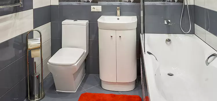 Hansgrohe Shaving Mirror Stow